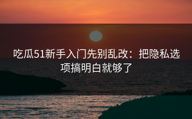 吃瓜51新手入门先别乱改：把隐私选项搞明白就够了
