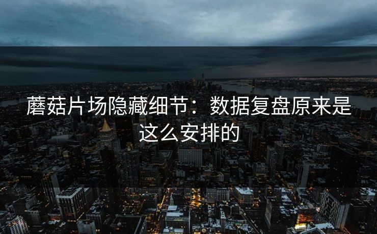 蘑菇片场隐藏细节：数据复盘原来是这么安排的